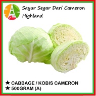 CABBAGE / KOBIS CAMERON - SAYUR SEGAR DARI CAMERON HIGHLAND - FRESH FROM FARM - NEXT DAY DELIVERY