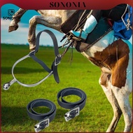 SONONIA 2Pcs Spur Straps for Boots Men British Style Boot Straps for Horse Riding