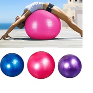 Girik Gym Ball Yoga Ball 65cm+Free Pump | Gymball Ball Gym Fitness