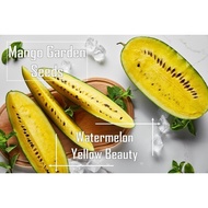 Yellow Black Beauty Watermelon Seeds - 10 Seed Biji Benih Tembikai Hitam Kuning - Mango Garden Seeds