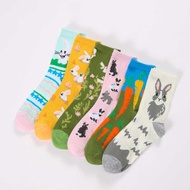 Socks Socks Socks Middle Tube Socks Middle Tube Socks Women Rabbit Carrot Funny Funny Pattern Women