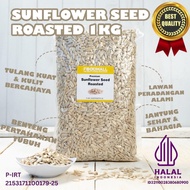 MATAHARI Sunflower Seed ROASTED 1 kg Sunflower Seed Sunflower Seeds
