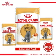 MAKANAN KUCING ROYAL CANIN BRITISH SHORTHAIR 85GR