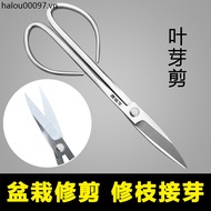 Golden Kitchen Castle Gardening Scissors Stainless Steel Bonsai Flower Arrangement Scissors Leaf Bud