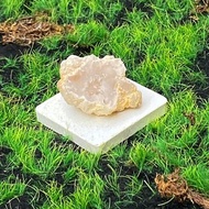 能量擺飾-招財開運可愛貝殼造型瑪瑙白晶洞開口笑 聚財 快速出貨