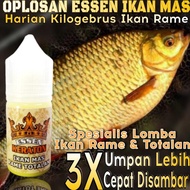 Terbaik Essen Super Premium Keraton Khusus Ikan Mas Lomba Harian Ikan