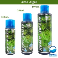 Azoo ยากำจัดตะไคร่ 120 ml.250 ml 500 ml