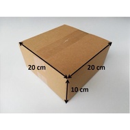 20x20x10 carton Box Packing