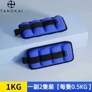 D-WJ-負重沙袋跑步健身器材體能訓練沙綁腿力量鍛鍊負重綁腿沙袋（0.5kg*2）D-WJ-weighted sandbag running fitness equipment physical tr