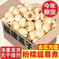 Net Weight] Authentic Fujian Lotus Seed Core Core Powder Waxy Easy-to-Cook Sulfur-Free Fresh Core Wh