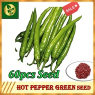 Green Hot Pepper Seeds | Chili Seeds | Sili Seeds | Siling Green | Vegetable seeds | Golden Plant an