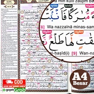 LATIN BEGINNER QURAN TRANSLATION AND COLOR TAJWID LARGE BEGINNER QURAN A4 COLOR TAJWID QURAN AND TRA