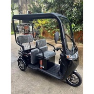 SA Adult 3Wheel EBIKE