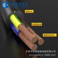 10.13 F Genuine European Certified Two-Core Round Power Cord H03VV-F 2 * 0.75 Square Lighting Wire E