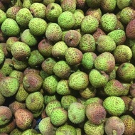 New Buah Leci Segar 1Kg Ready