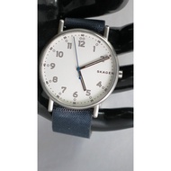 D50:Original SKAGEN Denmark Analog Watch for Men from USA-Silver Tone