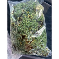 makanan ayam angsa itik azolla 100gram