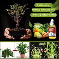 50ml Plant Growth Enhancer Supplement Root Stimulator Rooting Hormone for Transplant/Fast rooting ag