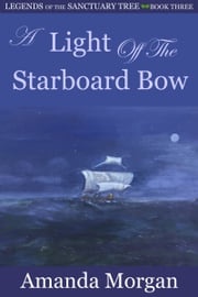 A Light Off the Starboard Bow Amanda Morgan