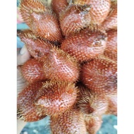 Buah salak madu Siam, salak virel 1kg