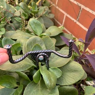 3-Prong Carbon Hanger 2025 - Suitable for Vario, Vision, Scoopy, Evo, Motio - U Hook Included