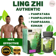 Ling Zhi Original Pampataba Vitamins Pampataba For Adults Pambataba Sa Bata Vitamins For Adults Ling