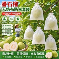 🌈🌈Drawstring Guava Guava Non-woven Bag Breathable Sunscreen Insect-proof Bird-proof Pearl Guava Frui