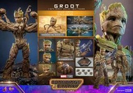 全新未拆 Hot Toys – MMS707 –《 星際異攻隊》1/6 格魯特 豪華版 非 MMS476 TMS089