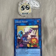 Cross-Sheep - Super AE - ES01-AE050