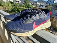 Nike Trail Gore-Tex 藍色越野鞋