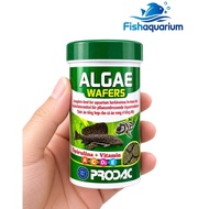 Algae wafer bottom fish pellet food 50gr – Prodac