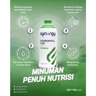 Liquid CHLOROPHYLL for Heart and Lung Health CHLOROPHYLL PLUS (25 Oz) Synergy