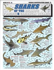 Sharks Identification Chart #2 Atlantic, Pacific, and Caribbean Oceans