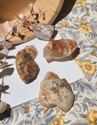 胡楊金黃草花原石 / 單顆