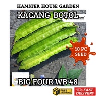 HSK [10pc] BIJI BENIH KACANG BOTOL BIG FOUR WINGED BEAN WB 48 SEED KACANG SIREH