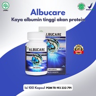 Albumin kapsul ikan gabus Pil Ikan Gabus Pasca Operasi Caesar Kpasul Ikan Gabus Asli Kapsul Kutuk As
