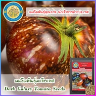 เมล็ดพันธุ์มะเขือเทศ (Dark Galaxy Tomato Seeds)