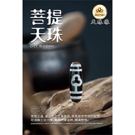菩提天珠 BODDHI DZI 西藏老天珠 ANTIQUE DZI WISDOM AWARENESS DZI手链/项链 Bracelet/Necklace DZI DESTINY 天珠缘