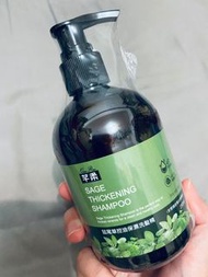 芊柔 鼠尾草控油保濕洗髮精 250ml 1瓶 天然咖啡因 無矽靈 強健髮根 益生菌 4D玻尿酸 天然起泡劑 #洗髮乳 身體清潔 頭髮保養