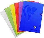 Clairefontaine Mimesys 303164 C Notebook Polypropylene 96 Pages Squared 4 x 4 with Margin 90 g A4 Co