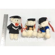 Boneka wisuda / boneka bear wisuda /gantungan boneka