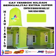 cat tembok kiloan hijau stabilo