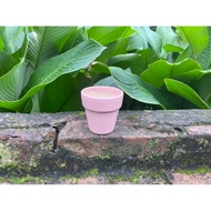 Ceramic pot for growing succulents and cacti 7x7cm