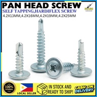 ☩ 100pcs Pan Head Screw Self Tapping Metal Screw Job Screw Hardiflex Screws