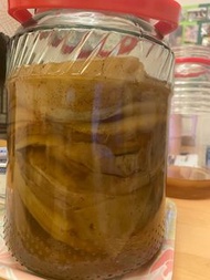 Kombucha Scoby