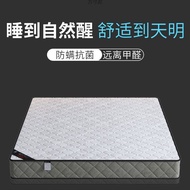 Customer Favorite Mattress Independent Spring Mattress Coconut Palm Spring Mattress Thickened Extra 