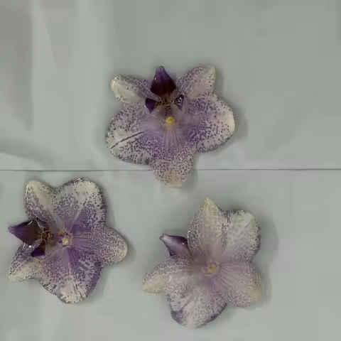 3pcs Dried Flower Resin-Dipped Phalaenopsis DIY Earrings Necklace Orchid Head Decorations for Weddin