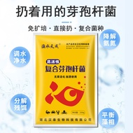 Compound Spore Bacillus Aquaculture Special Fish Shrimp Pond Water Purification Water Regulating Amm