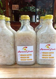 Ginamos Batitis of Silay City/Premium Fermented white Batitis from Batitis Shell