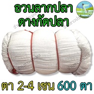 อวนล้อมปลา ดางกัดปลา 22.533.54 เซน ด้ายลัง 6 แบ่งขายเป็นเมตร ดางกวดปลา ดางลากปลา ดางกวด ดางกัด ดางล้อมปลา อวนลากปลา อวน ดาง ตาข่าย